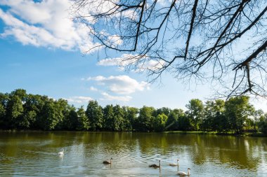 Küçük kırsal gölet üzerinden görünüm