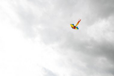 Havada uçan uçurtma