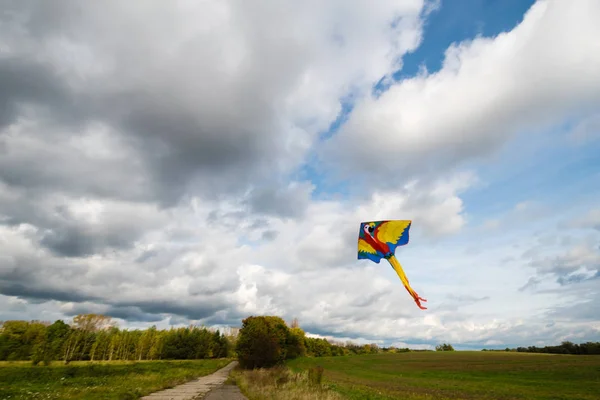 Kite flying in the air — Stock Photo, Image