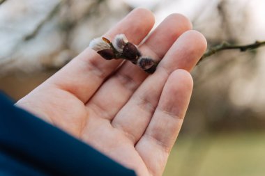 Bir el salladığı Kukum çiçekli