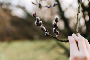 Bir el salladığı Kukum çiçekli