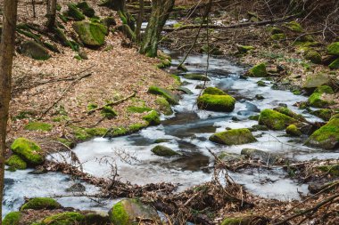 Bir orman dere buz erime. Büyük taş yeşil m ile kaplı