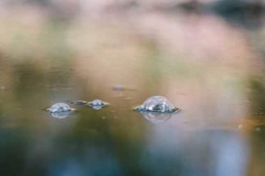 baloncuklar su yüzeyi