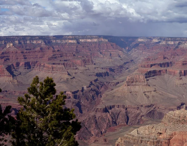 Beautiful grand canyon national park in Arizona, USA — Stock Photo, Image