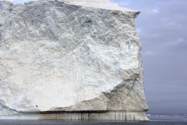 Τεράστια παγόβουνα διαγράφονται στον Αρκτικό Ωκεανό στη Γροιλανδία — Φωτογραφία Αρχείου
