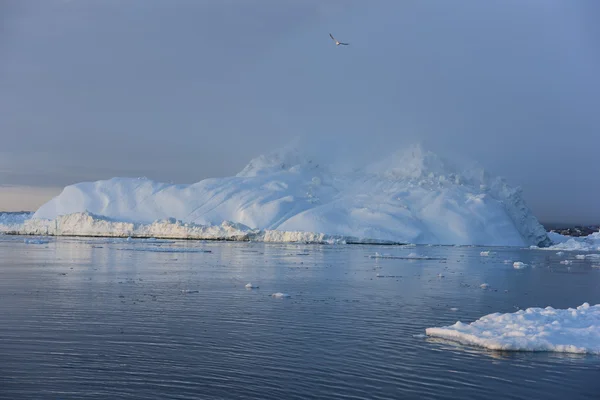 Icebergs estão no oceano Ártico na Groenlândia — Fotografia de Stock