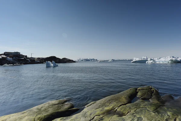 Eisberge auf dem arktischen Ozean in Grönland — Stockfoto