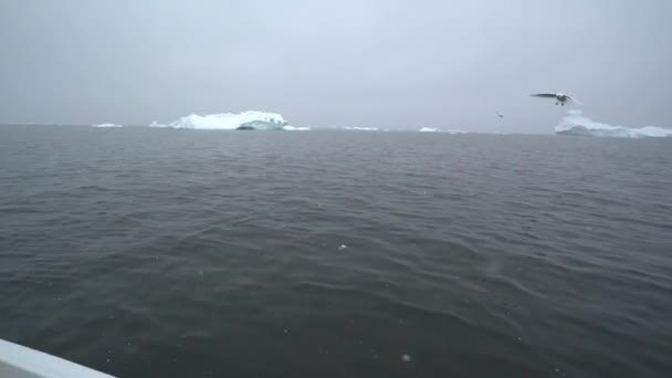 Ghiacciai si stanno muovendo sull'oceano artico a Ilulissat, Groenlandia Stok Video menu menu — Video Stock