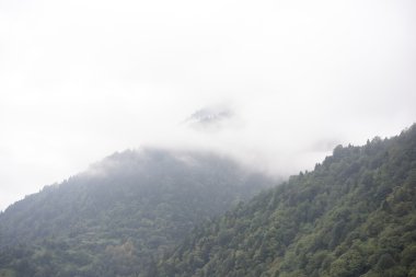 güzel Türk Yaylası