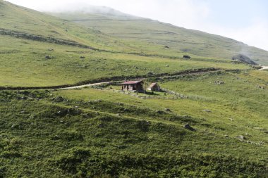 güzel doğa ve Türk Yaylası