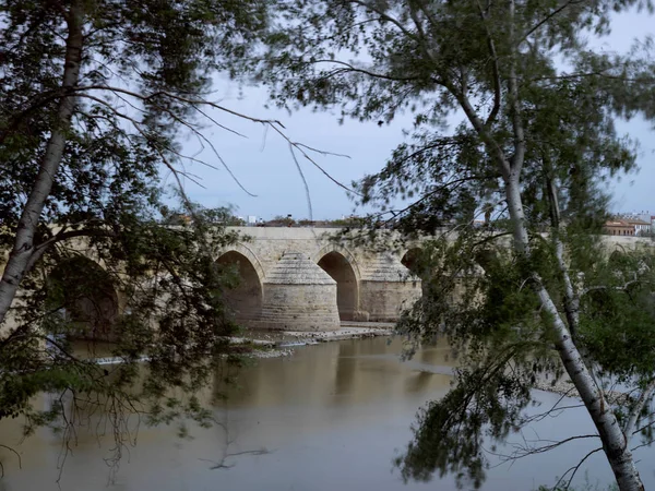 Puente romano en Córdoba, España, 2015 — Foto de Stock