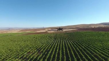 Hava görünümünü Türkiye'de üzüm bağları,). September.2016.