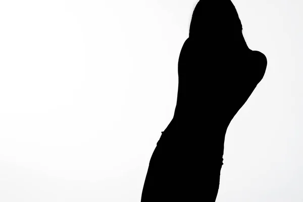 Lange haren silhouet van de vrouw op witte achtergrond — Stockfoto