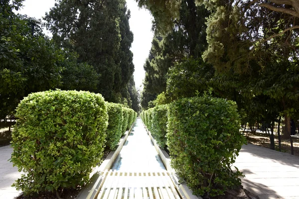 Eram Garden (legendario jardín) en Shiraz, Irán . — Foto de Stock