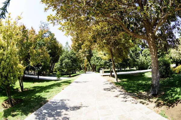 Eram Garden (legendario jardín) en Shiraz, Irán . — Foto de Stock