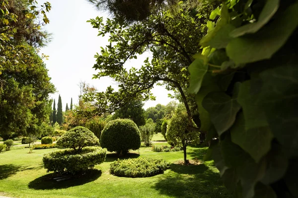 Eram Garden (legendario jardín) en Shiraz, Irán . — Foto de Stock