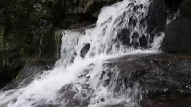 Hermosa vista de la cascada en la montaña en un corto — Vídeo de stock