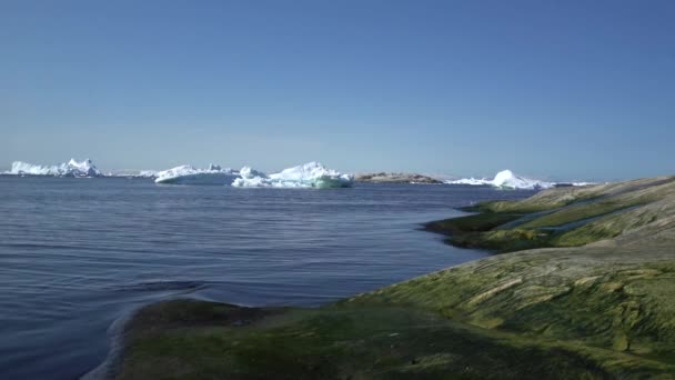 Ledovce v Severním ledovém oceánu v provincii ilulissat, Grónsko. — Stock video