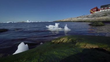 Ilulissat ili, Grönland Kuzey Buz Denizi üzerinde buzdağları. 