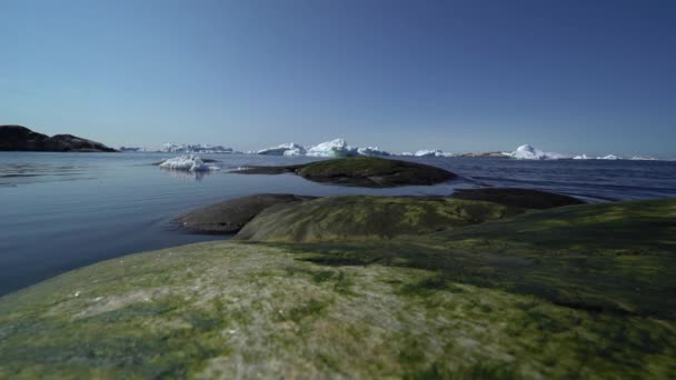 在格陵兰岛北极海洋上的冰山 — 图库视频影像