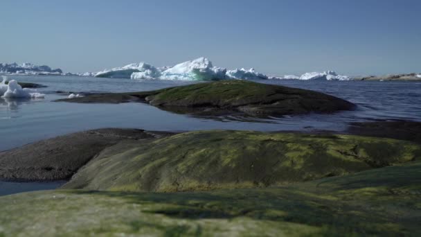 Arktiska isberg i ishavet, Grönland — Stockvideo