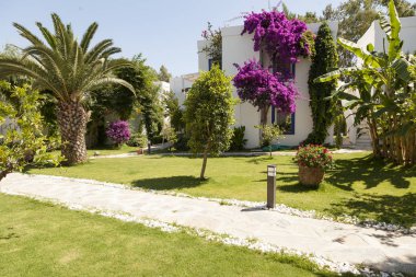 lüks tatil yerinde güzel Bahçe