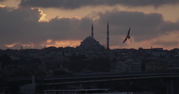 Sylwetka Istanbul Bosphorus Meczetu — Wideo stockowe
