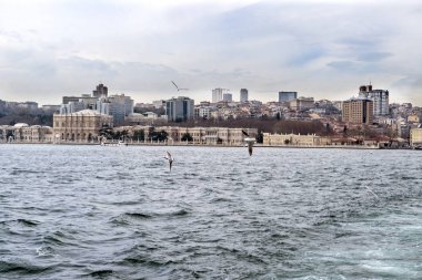 Istanbul boğaz ve şehir manzarası
