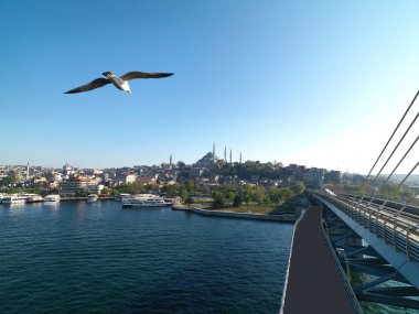 Istanbul bosphorus landscape view clipart