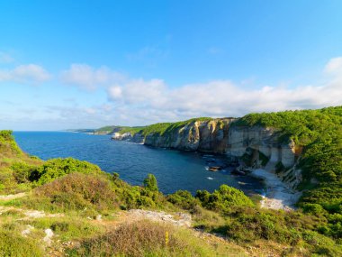 Deniz ve orman birlikte güzel görünümü