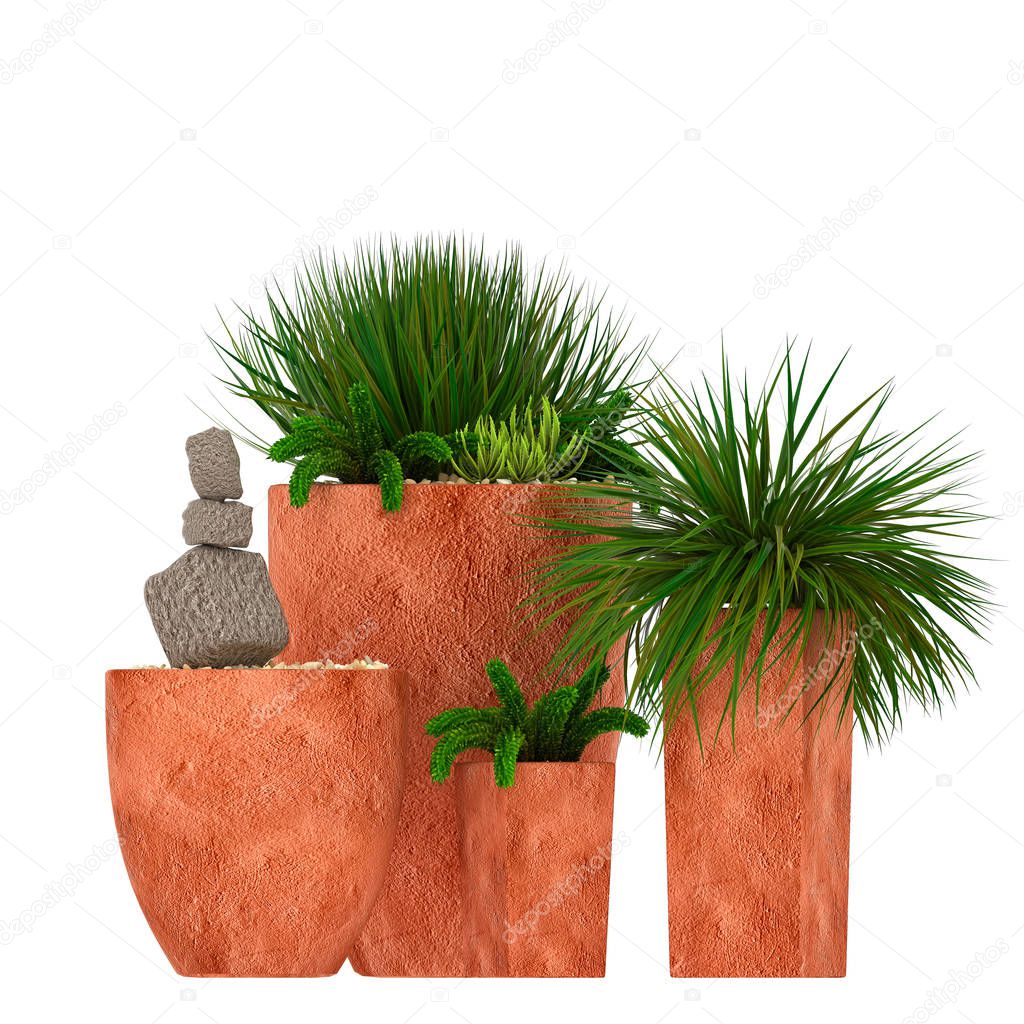 3d render plants with pots