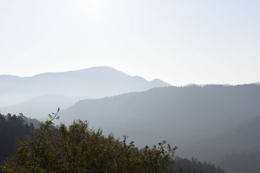Gündüz sisli dağların manzarası