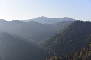 Gündüz sisli dağların manzarası