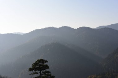 Güneşli bir günde sisli dağlar