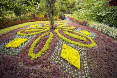 Süslü güzel bir bahçe peyzaj