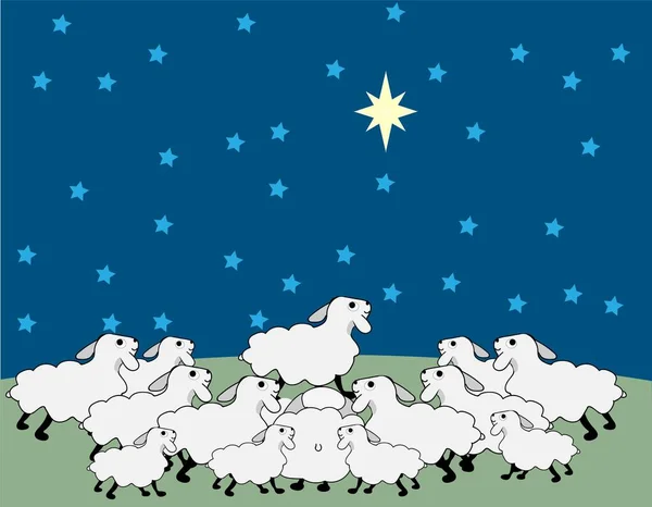 Troupeau de moutons debout sur le terrain et regardant la grande étoile, ciel nocturne . — Image vectorielle