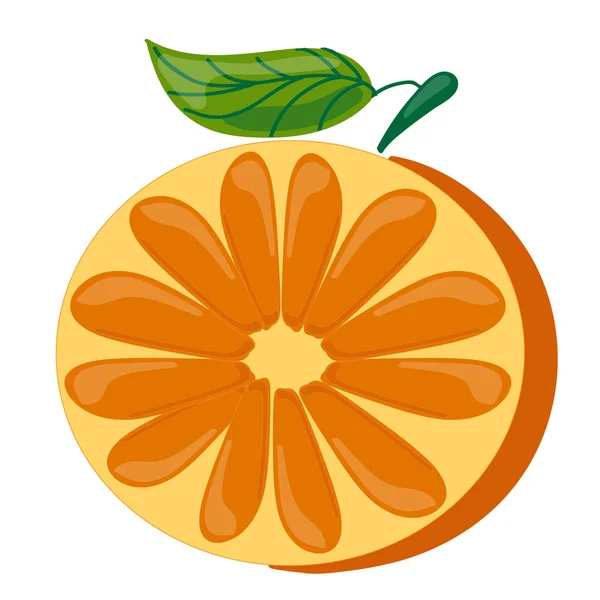 Früchte. einer schneidet eine halbe Orange mit einer grünen Blattvektorillustration — Stockvektor