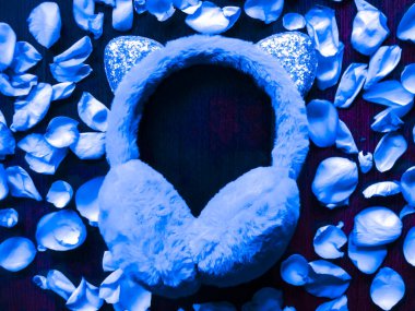 Çiçek kompozisyonu. Hayalet mavi tüylü kış kulaklıkları, düz, üst görünüm..