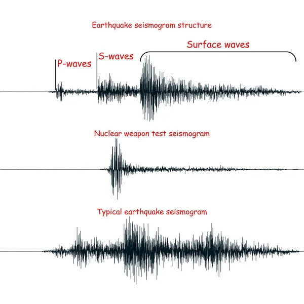 Seismogram graph set. — Stock Vector