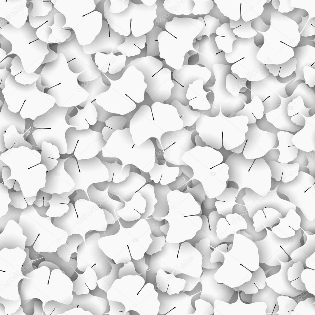 Ginkgo biloba tree leaves as a white texture concept.