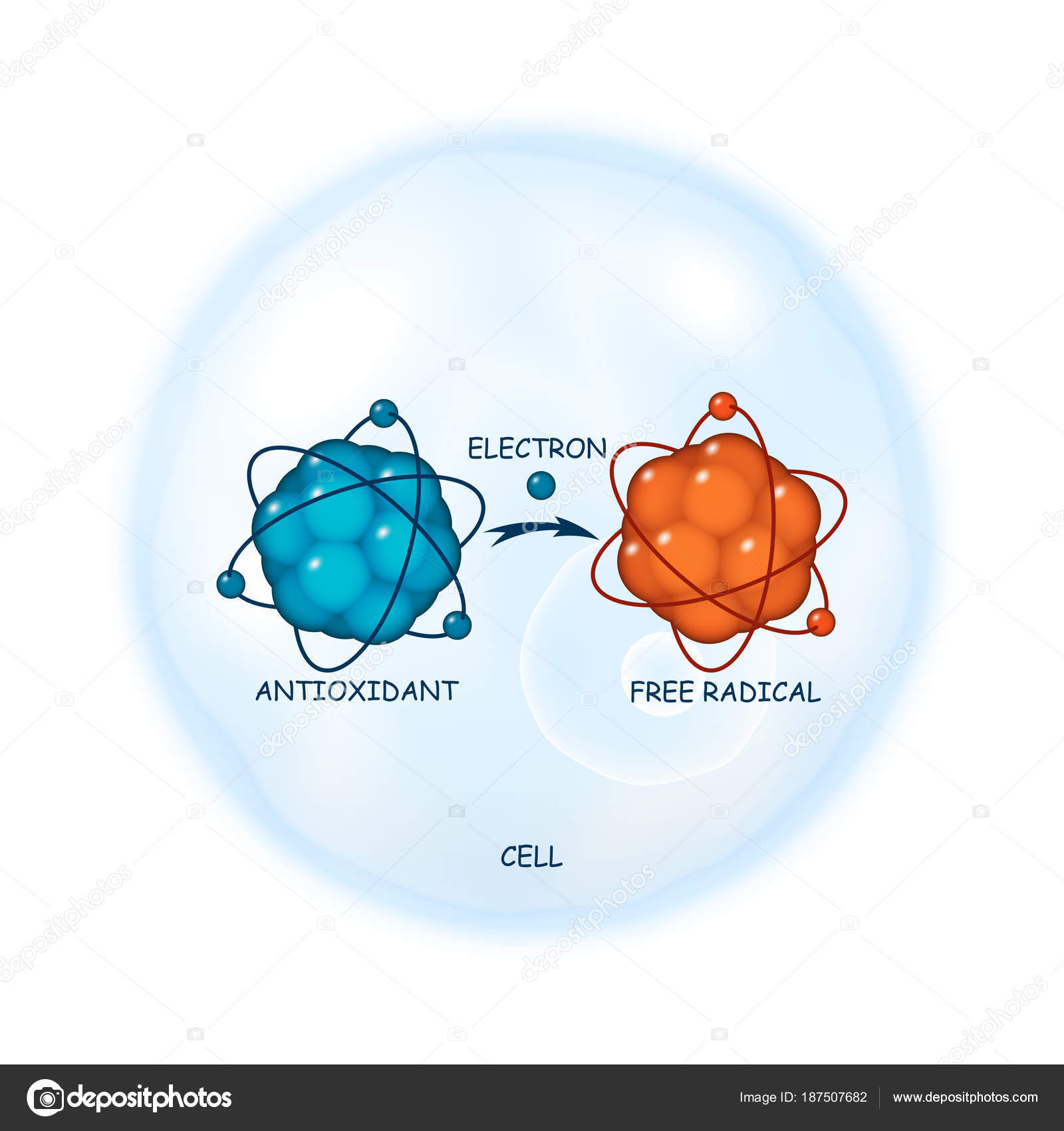 Which is the best antioxidant for skin health? What does <a href=