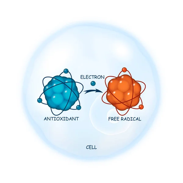 Antioxidant working principle abstract vector representation — Stock Vector