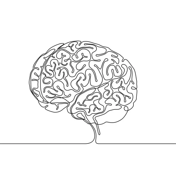 Kontinuální perokresba lidského mozku s gyri a sulci — Stockový vektor
