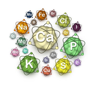 Various microelements, macroelements and minerals clipart