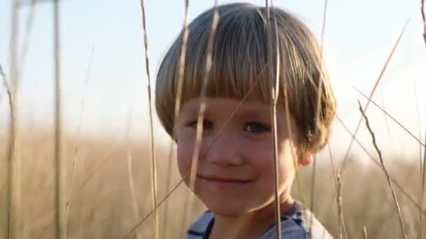 Mignon petit garçon dans le champ jaune, été automne à l'extérieur, la lumière du coucher du soleil — Video