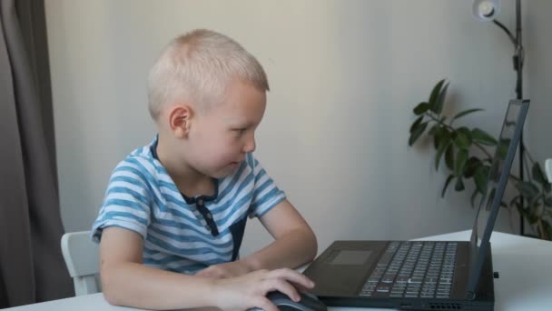 Мальчик работает на компьютере, программирует, учится или играет — стоковое видео