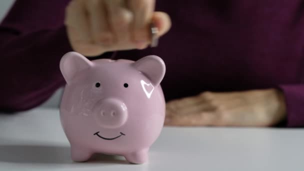 女人手把硬币放在小猪银行关门。 储蓄、经济概念 — 图库视频影像