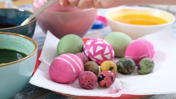 Close up of woman hands coloring easter eggs with egg dye. Colorful easter eggs. Preparation of the Easter — 비디오