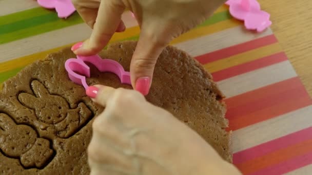 Woman making ginger cookies rabbit shaped for Easter, close up — 비디오