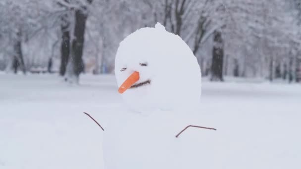 Muñeco de nieve en invierno día de nieve, vacaciones de Navidad — Vídeos de Stock